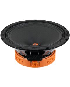Автоакустика DL AUDIO RAVEN 200